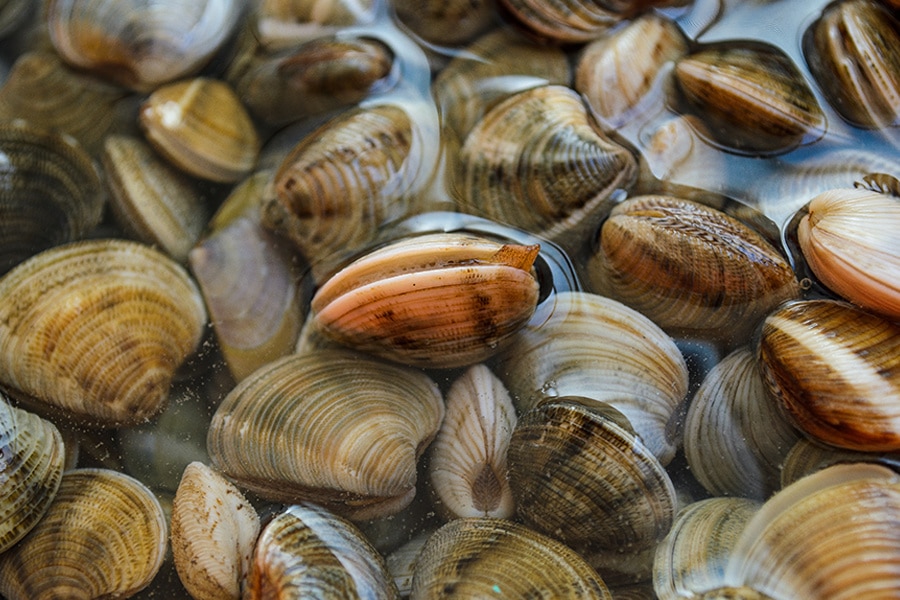 Fresh seafood supplied by Keenan Seafood