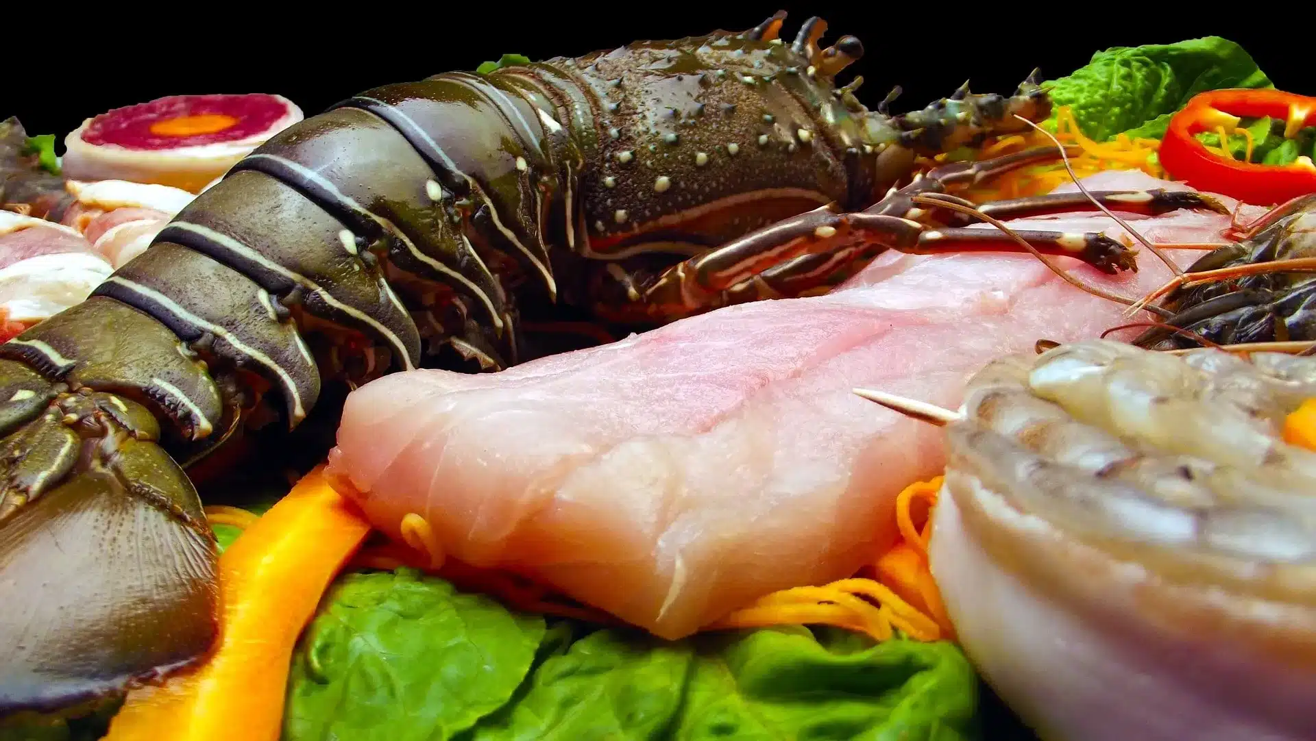 Fresh seafood prepared for professional kitchens
